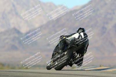 media/Jan-13-2024-SoCal Trackdays (Sat) [[9c032fe5aa]]/Turn 9 Backside (110pm)/